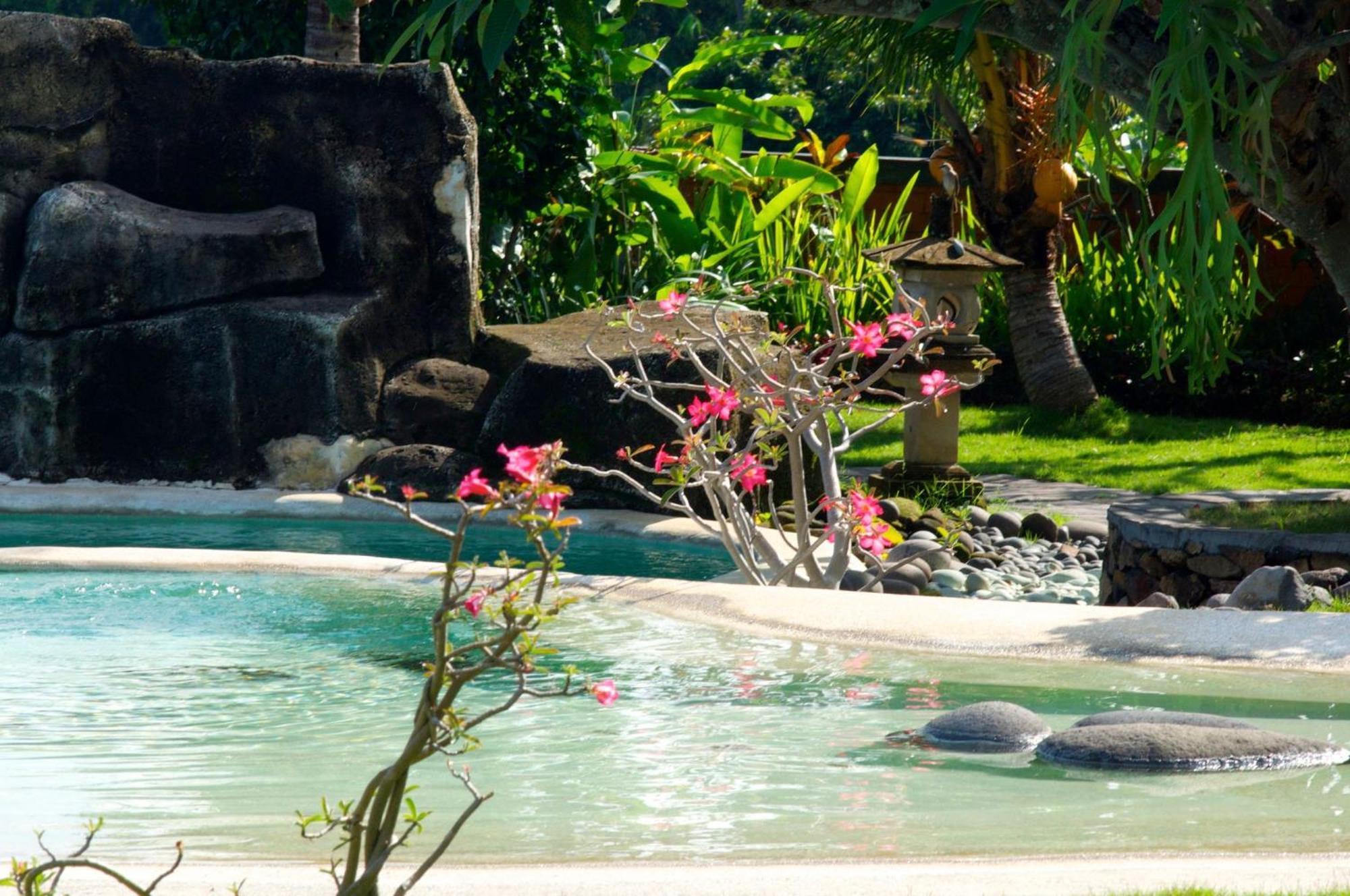Villa Bali Pondok Jepang Lovina Exterior foto